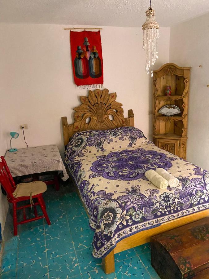 Hostel Casa Chuparrosa
